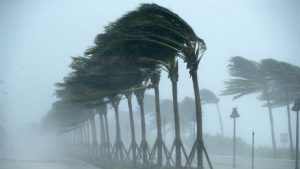 رياح قوية تضرب 6 ولايات.. والأرصاد الجوية تدعو إلى الحيطة والحذر