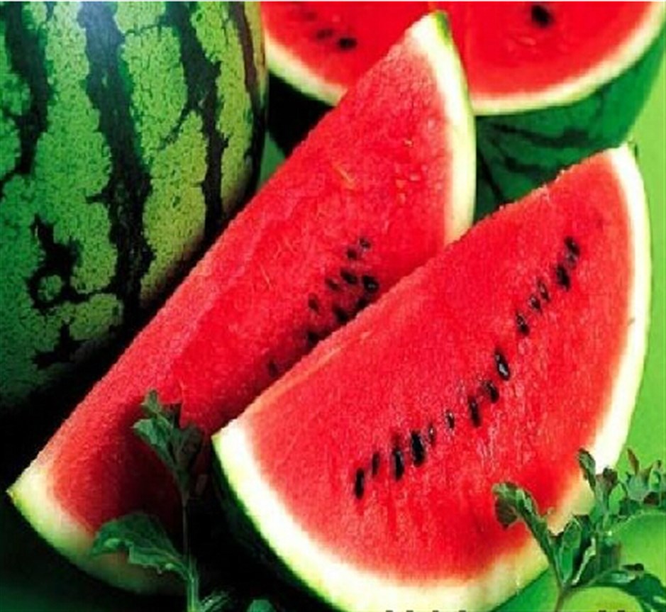 وزارة الداخلية تنفي شائعات فساد البطيخ الأحمر وتتوعد مروّجي الأخبار الكاذبة